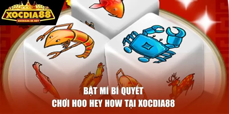 Bật mí bí quyết chơi Hoo Hey How tại XOCDIA88 