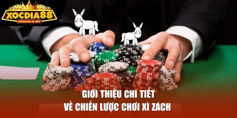 Giới thiệu chi tiết về chiến lược chơi Xì Zách 